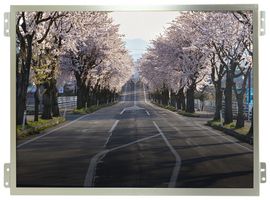 MP010837 - TFT IPS LCD, 10.4", 1024 x 768, 900cd/m2, HDMI, 12V - MULTICOMP PRO