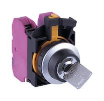 CW4K-21BE20 CW-22MM, KSW, METAL, 2POS, SPRING RETURN IDEC