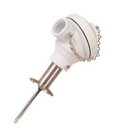 PRS-3-100-A-S-0300-D1-NB9W RTD'S: Sanitary RTD Probes Omega