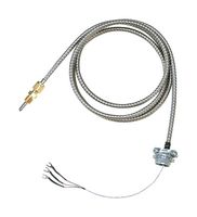 CFTF-000-RTD-4-60-1 RTD'S: Plastics Processing RTD'S Omega